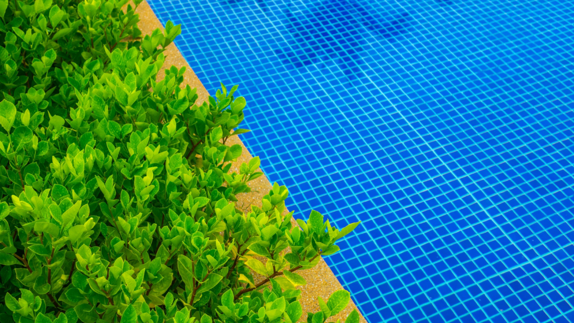 Créez une ambiance unique avec de la mosaïque de piscine